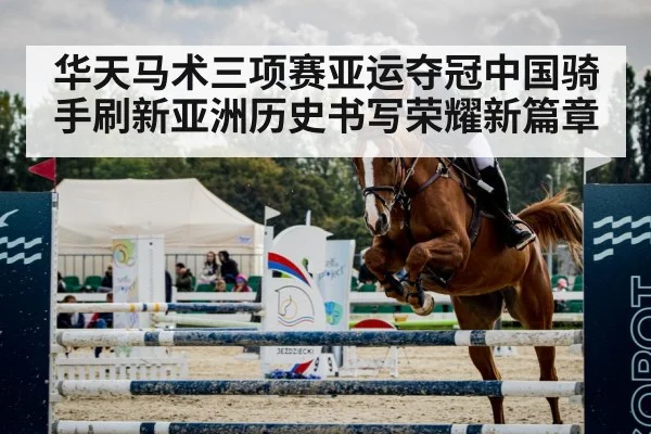 horse show jumping arena