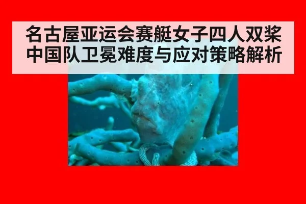 名古屋亚运会赛艇女子四人双桨中国队卫冕难度与应对策略解析
